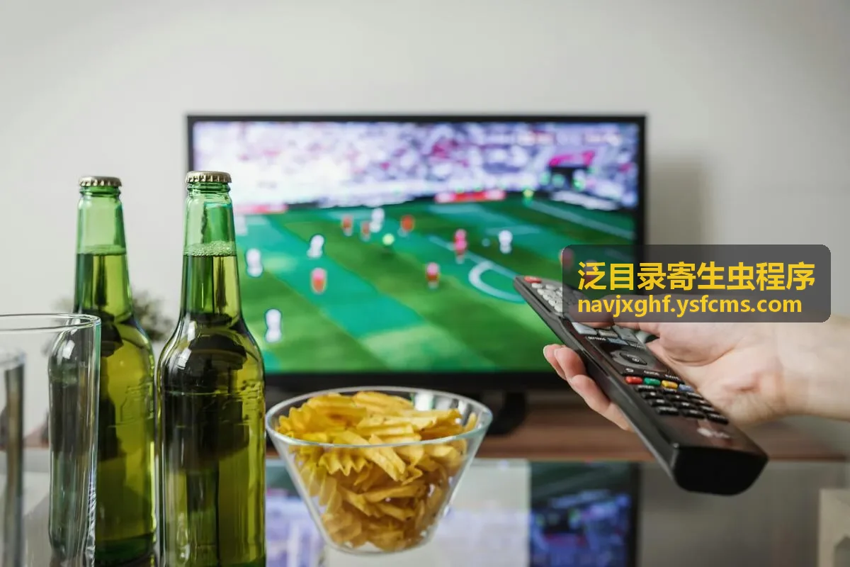天网行动HD国语版异常目录检查示意