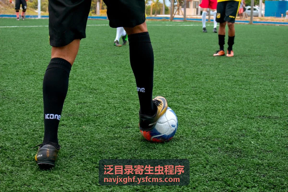 天网行动HD国语版陌生页面收录排查